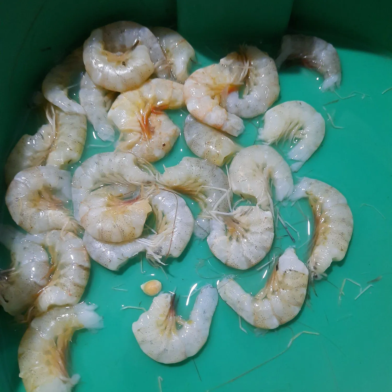 Step 5 Mie Pipih Udang