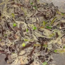 Masak sampai daun bawang layu. Kimlo siap disajikan