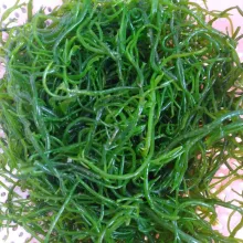 Cuci 3 kali rumput laut agar asinnya berkurang.