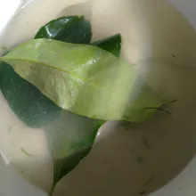 Panaskan kaldu ikan lalu beri daun salam, kalau tidak ada kaldu ikan bisa pakai air hangat aja.