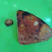 Parut kelapa yang sudah dibakar sedikit tambahkan parutan lengkuas secukupnya lalu urap rumput laut dengan parutan kelapa.