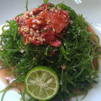 Urap Rumput Laut (khas bali)