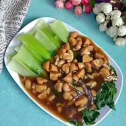 Pokcoy Siram Jamur #JagoMasakMinggu9