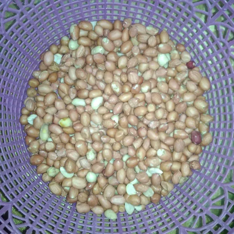 Step 2 Peyek Kacang Renyah