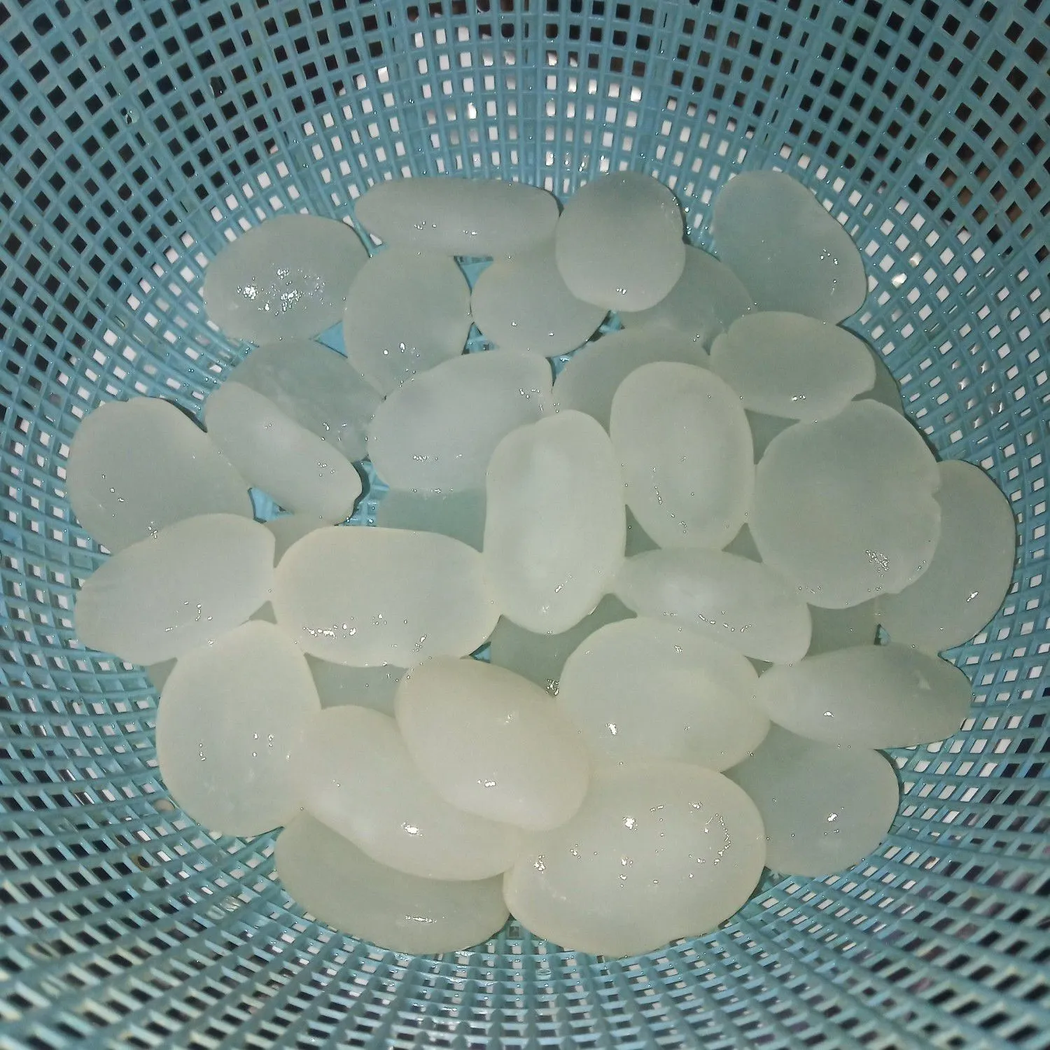 Step 1 Manisan Kolang-Kaling Mangga