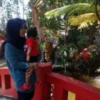 Sayur Bening Bayam Telur Puyuh