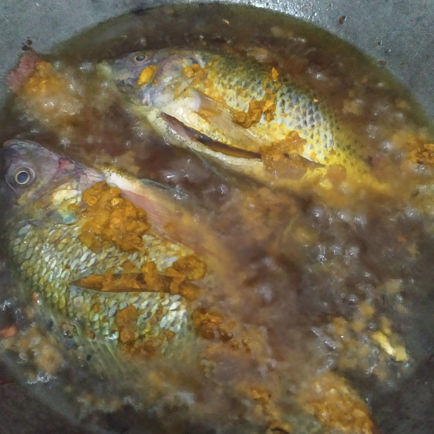 Langkah 5