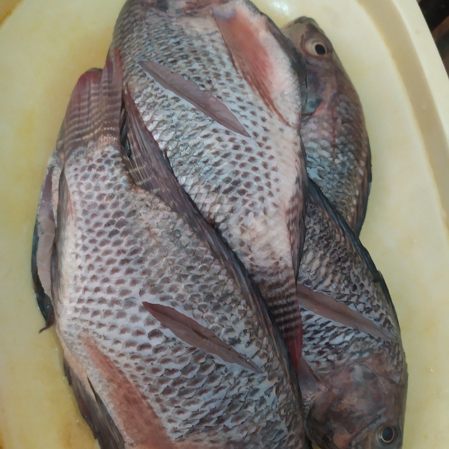 Langkah 1