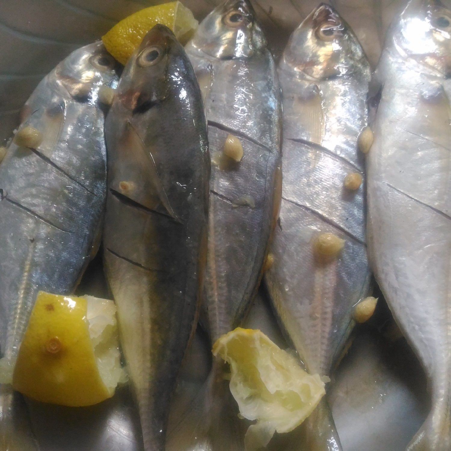 Langkah 1