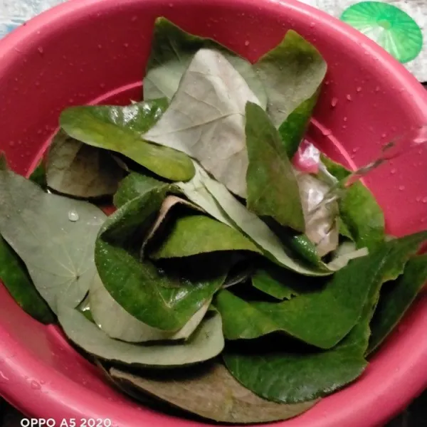 Siapkan wadah cuci daun cincau sampai bersih.