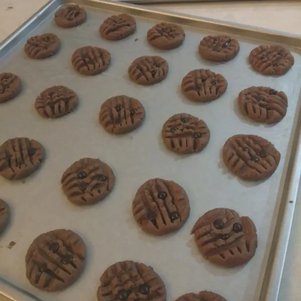 Cetak menggunakan sendok garpu. Tambahkan chocips. Panggang selama 30 menit dengan suhu 130°C. Dinginkan lalu simpan dalam toples.