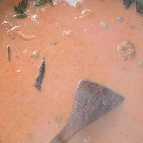 Masukan santan masak sampai jadi kalio jangan lupa di aduk aduk.
