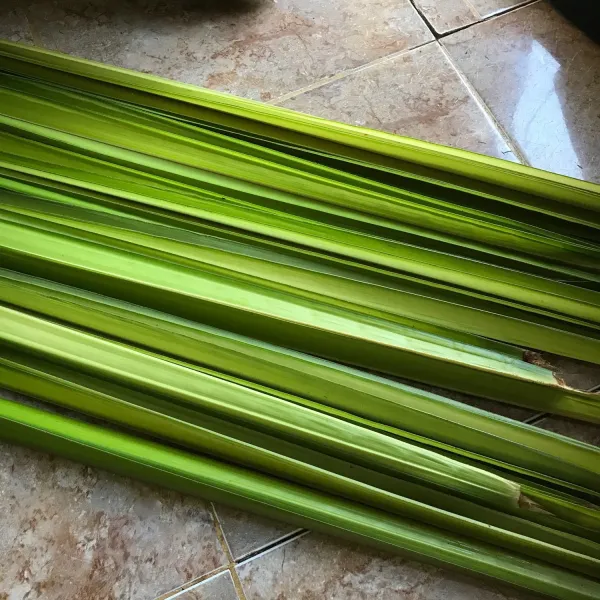 Siapkan janur atau daun kelapa yang masih muda pilih yang bagian daun lebar untuk memperoleh ketupat yang lebih besar.