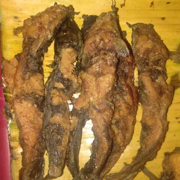 Goreng lele lalu tiriskan.