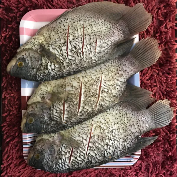 Bersihkan ikan gurame, kemudian baluri ikan dengan garam dan jeruk nipis terlebih dahulu, diamkan sekitar 30 menit atau 1 jam