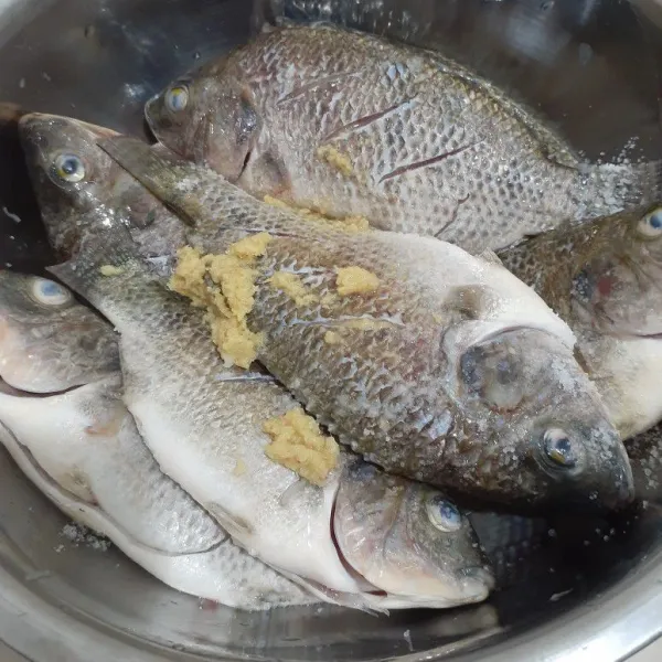 Kemudian cuci bersih ikan nila dan beri jeruk nipis, garam, serta parutan jahe. Aduk rata dan diamkan kira-kira 30 menit (marinate).