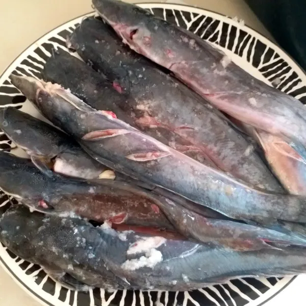Bersihkan perut ikan, kerat-kerat dan cuci. Lumuri badan ikan lele dengan garam secukupnya.