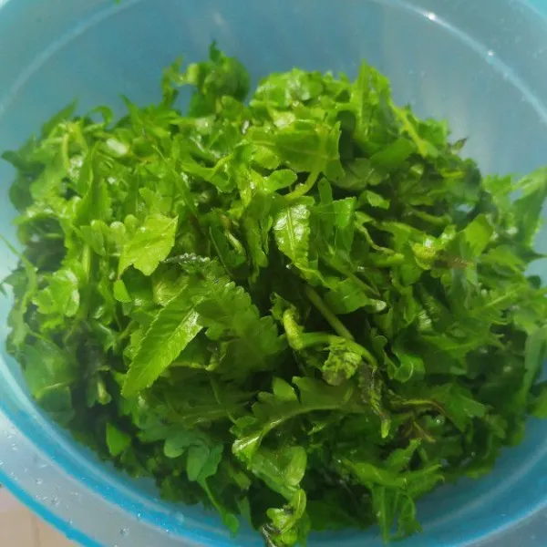 Siapkan sayur pakis.