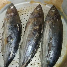 Kukus tongkol hingga matang.