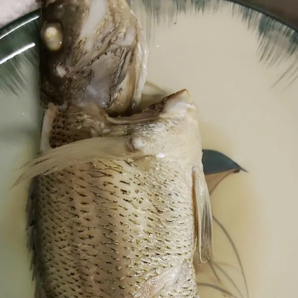 Bentuk atau tanda ikan matang adalah mata ikan akan terlihat keluar atau bisa dengan cara tusuk bagian daging ikan jika berasa tembus sampai ke tulang artinya sudah matang.