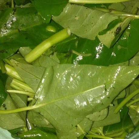 Siangi kangkung lalu cuci bersih, tiriskan