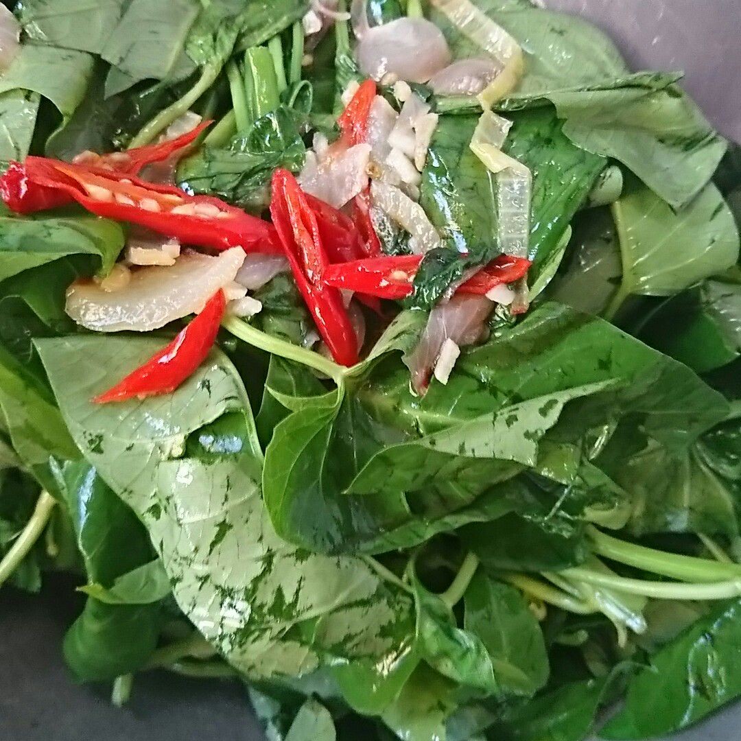 Langkah 4