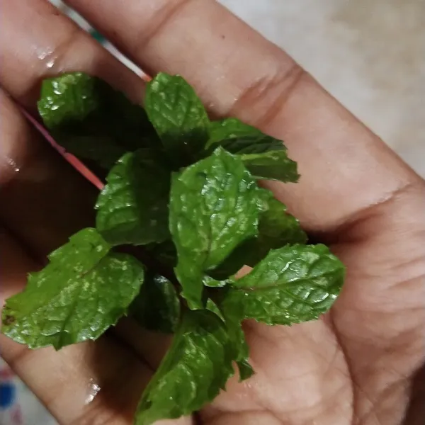 Beri topping daun mint.