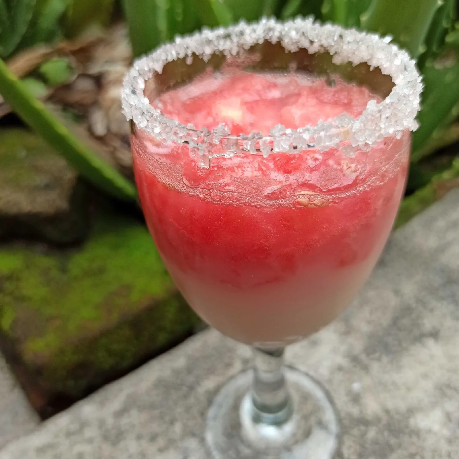 Es Soda Yakult #JagoMasakMinggu1Periode2