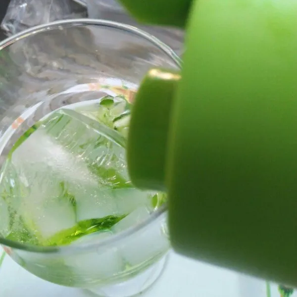 Tambahkan air, es dan daun mint.
