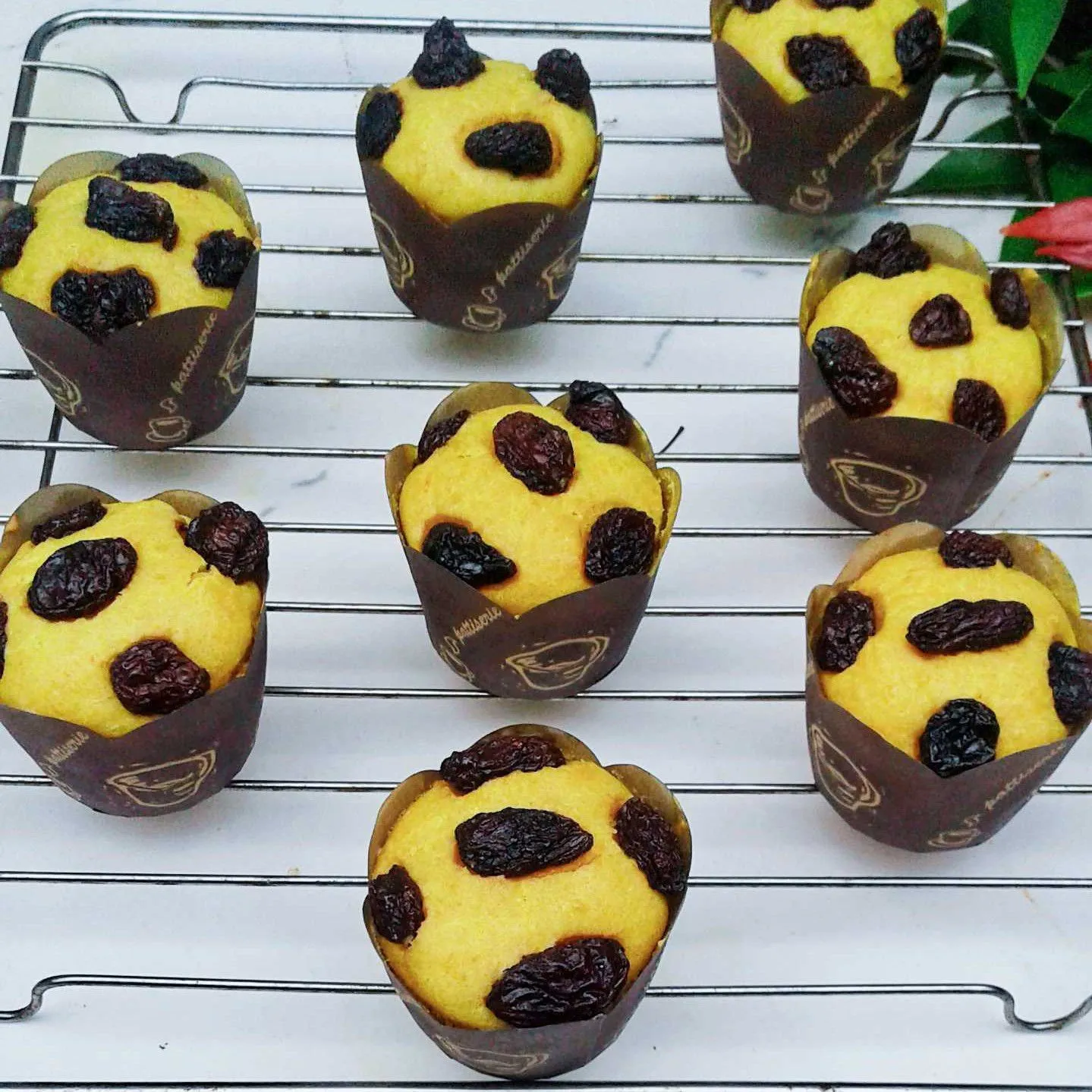 Muffin Labu Kuning Kismis #JagoMasakMinggu2Periode2