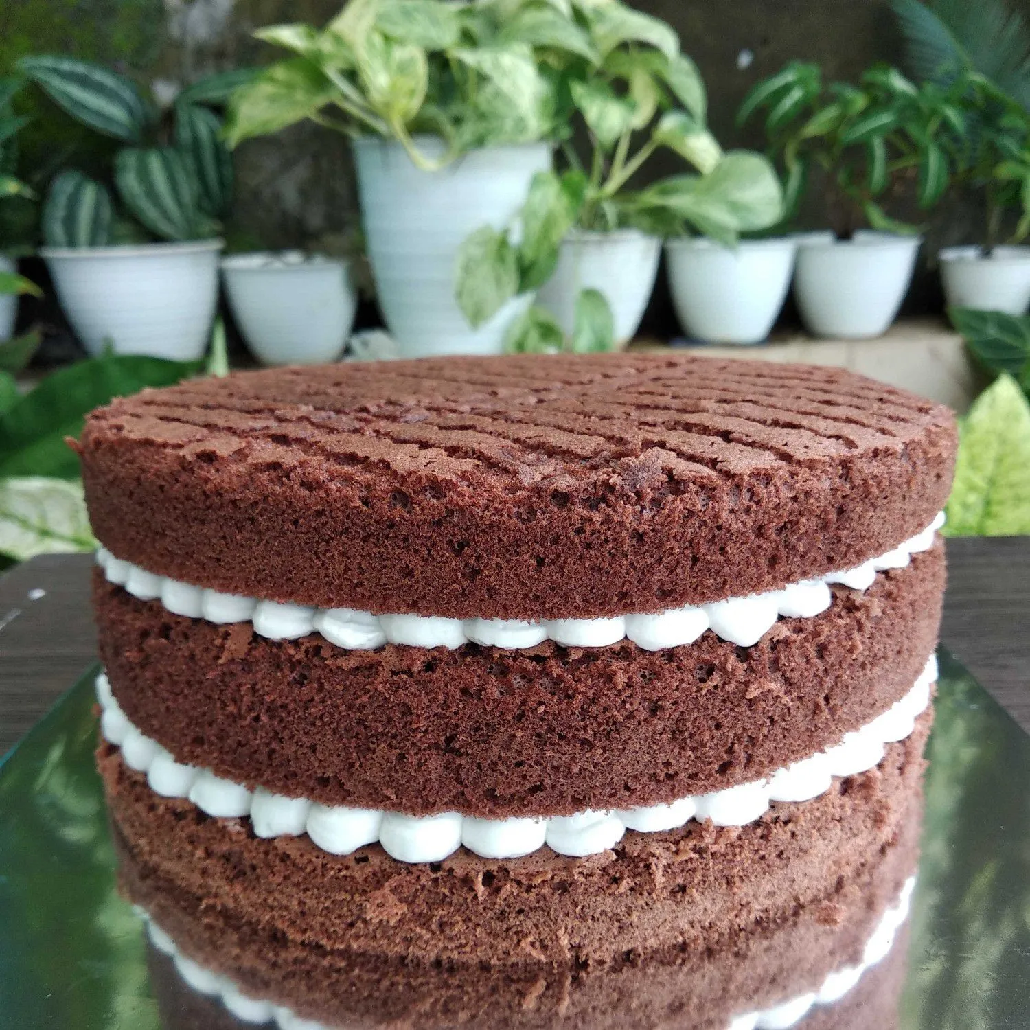 Sponge Cake Coklat #JagoMasakMinggu2Periode2