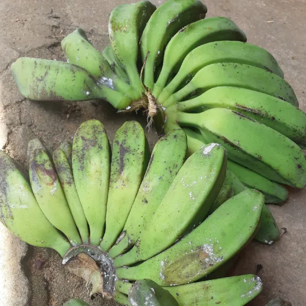 Pilih pisang yang tua namun belum matang.