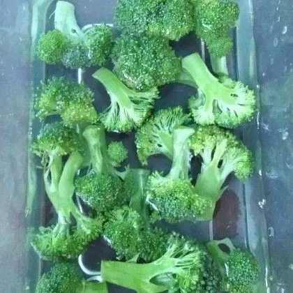 Cuci brokoli kemudian rendam air hangat dan sedikit garam selama 10 menit