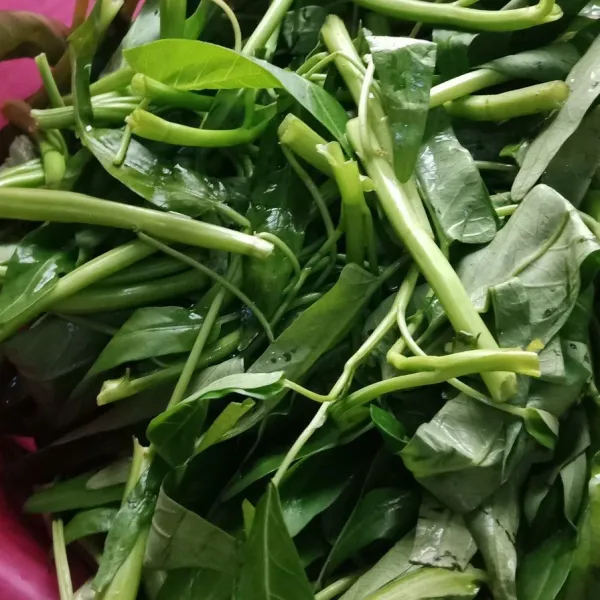 Petik kangkung, rendam dengan air garam, 5 menit kemudian bilas kembali.