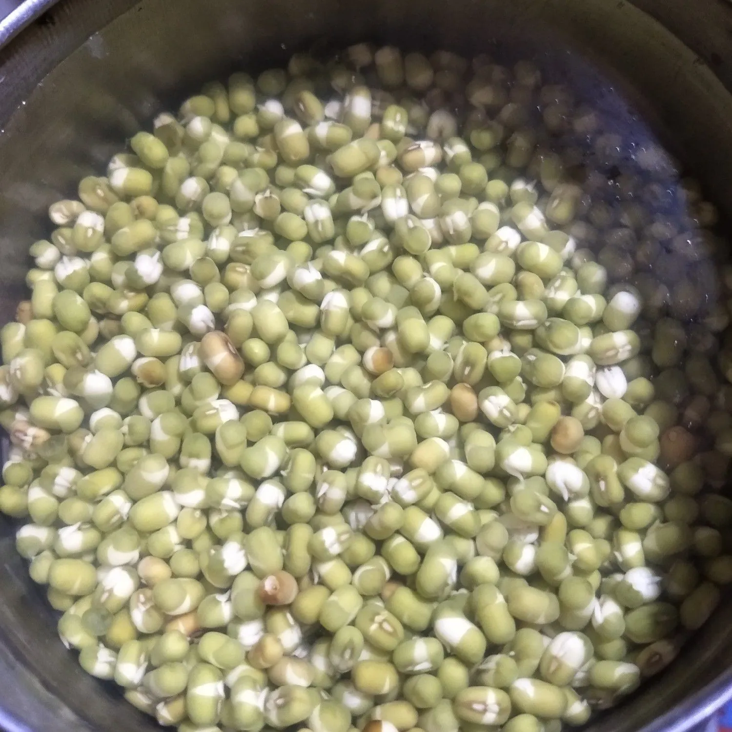 Step 1 Bubur Kacang Ijo Kental