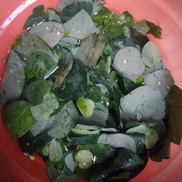Cuci bersih daun katuk sambil di remas-remas dengan diberi sedikit garam halus.