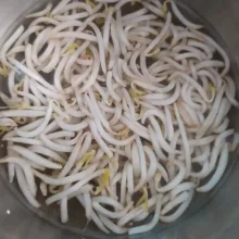 Cuci bersih tauge, tiriskan.
