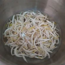 Didihkan air, masukkan tauge dan garam, rebus selama 5 menit, tiriskan.