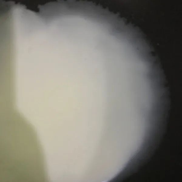 Panaskan teflon dengan api kecil, olesi dengan minyak lalu angkat teflon tuangkan satu sendok sayur dan ratakan adonan dengan memutar teflon. Setelah rata letakkan teflon di atas api sampai pinggiran kulit mengelupas dari teflon lalu angkat kulit perlahan.