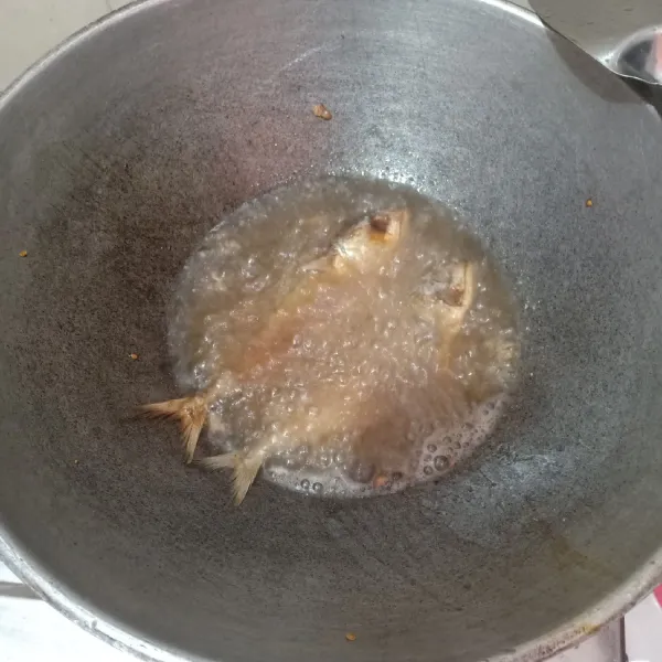 Panaskan minyak lalu goreng ikan asin peda hingga matang. Angkat dan tiriskan minyak.