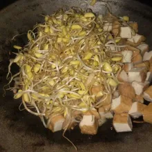Masukkan tahu dan kecambah, beri sedikit air.
