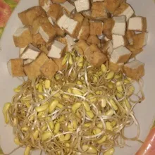 Cuci bersih kecambah potong tahu sesuai selera.