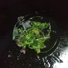 Goreng seledri, sisihkan.