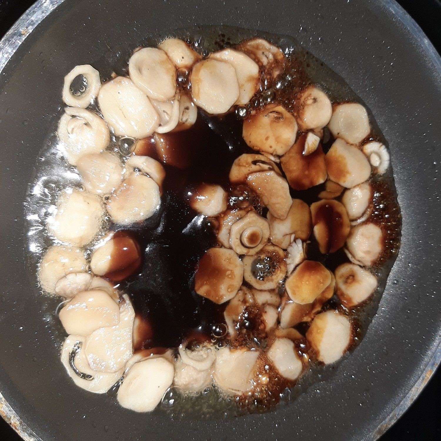 Langkah 8