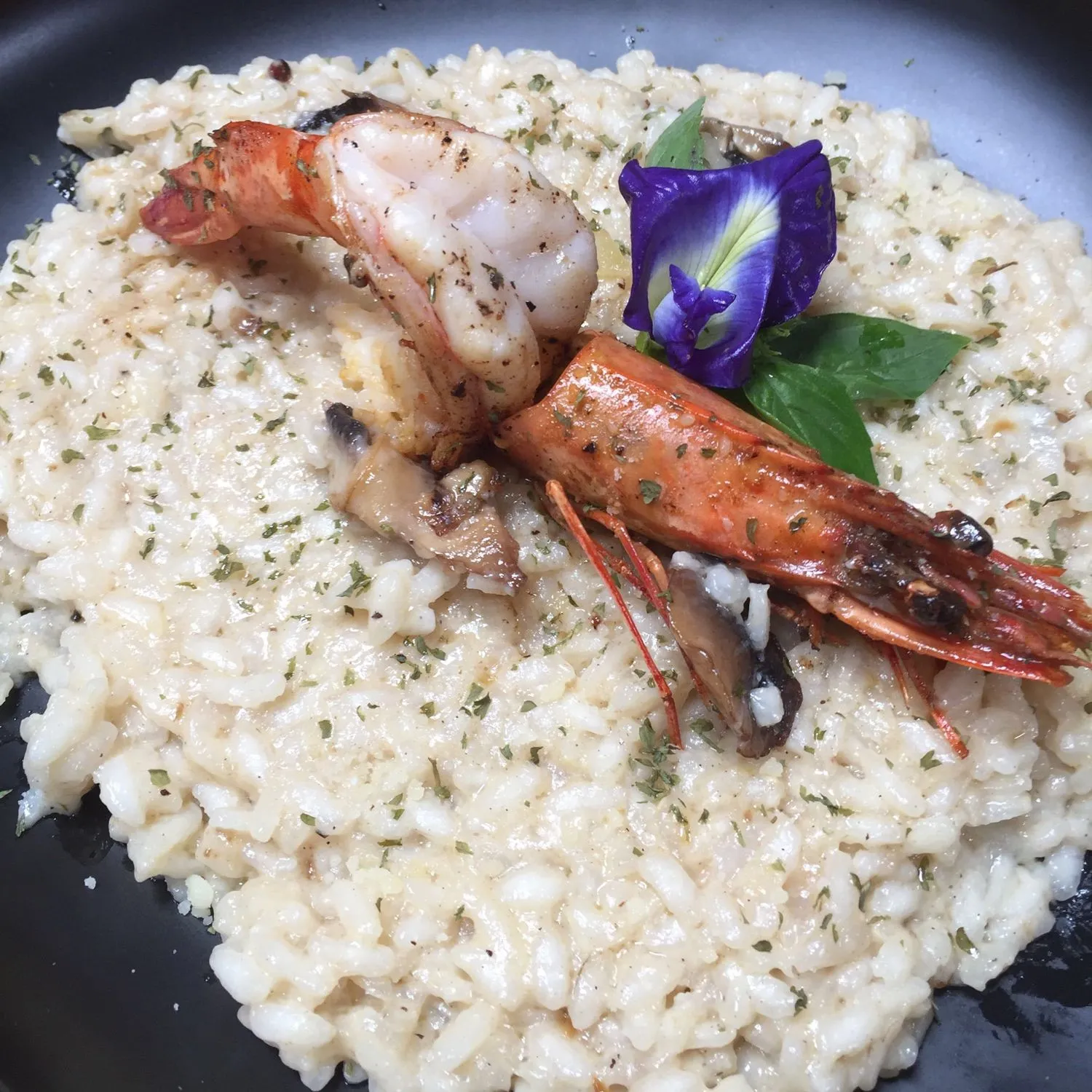 Mushrooms Risotto with Prawn