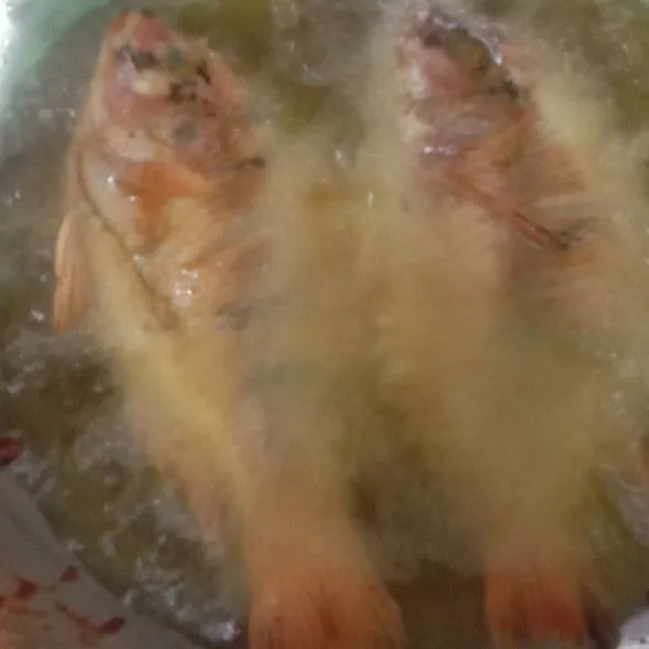 Goreng ikan nila sampai matang.