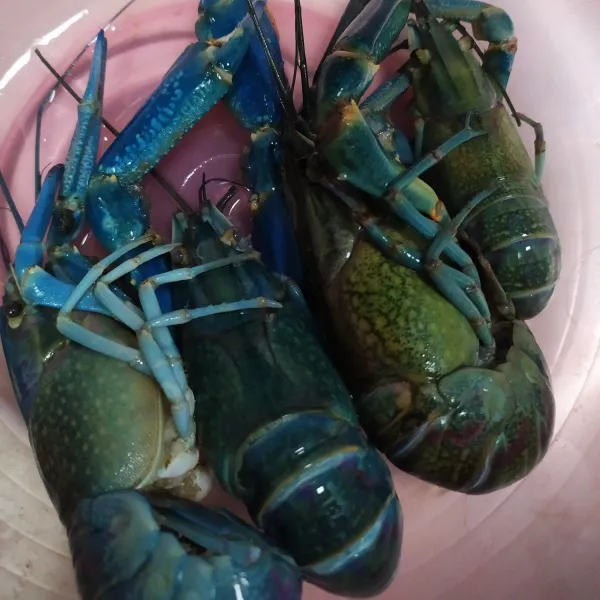 Bersihkan lobster, belah bagian punggungnya.