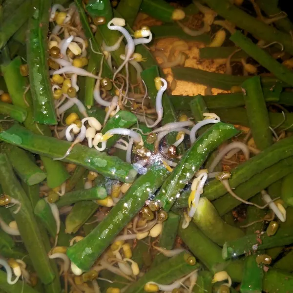 Kacang panjang yang sudah di potong lalu dicuci bersih begitu pula dengan taugenya. Setelah itu rebus hingga matang .