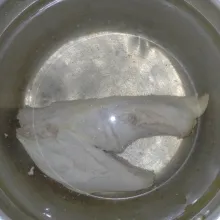 Rebus ayam kampung selama 10 menit. Buang airnya, rebus lagi dengan 2 L air hingga empuk.