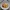 Soto Ayam Betawi #JagoMasakMinggu10Periode2